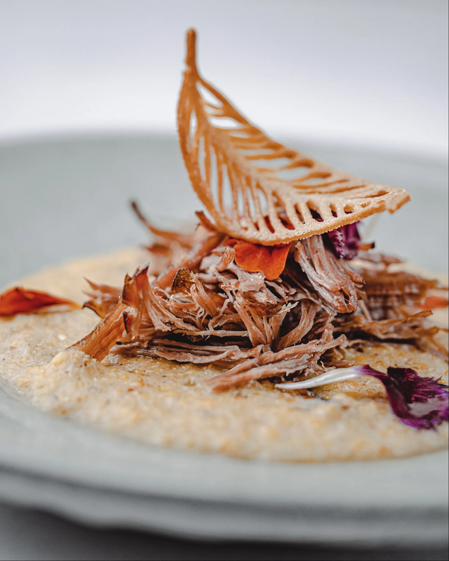 Dish 14