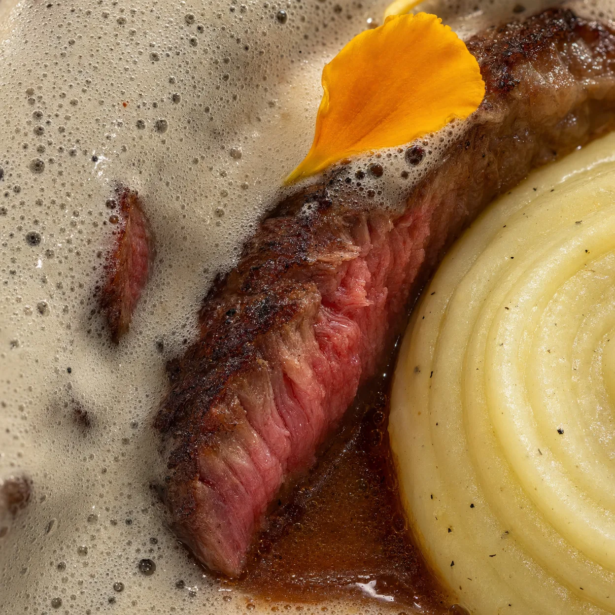 Dish 12